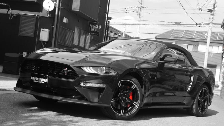 キャリパー塗装施工事例：マスタング　キャリパー塗装ローター塗装　COLOR:#001 Italian losso solid　COLOR:#1114 Deep coal black matte IMG126_1891_DIW5ZD_sub7.jpg