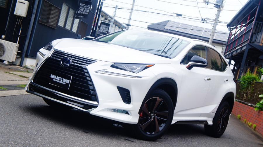 レクサスNX300h　キャリパー塗装COLOR:#001 Italian losso solid